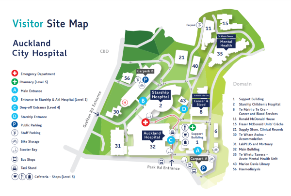 A map of Auckland City Hospital